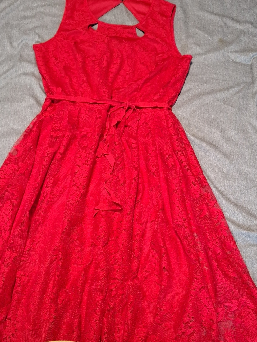 Danny & Nicole Red Lace Fit-and-Flare Dress with Tie Waist